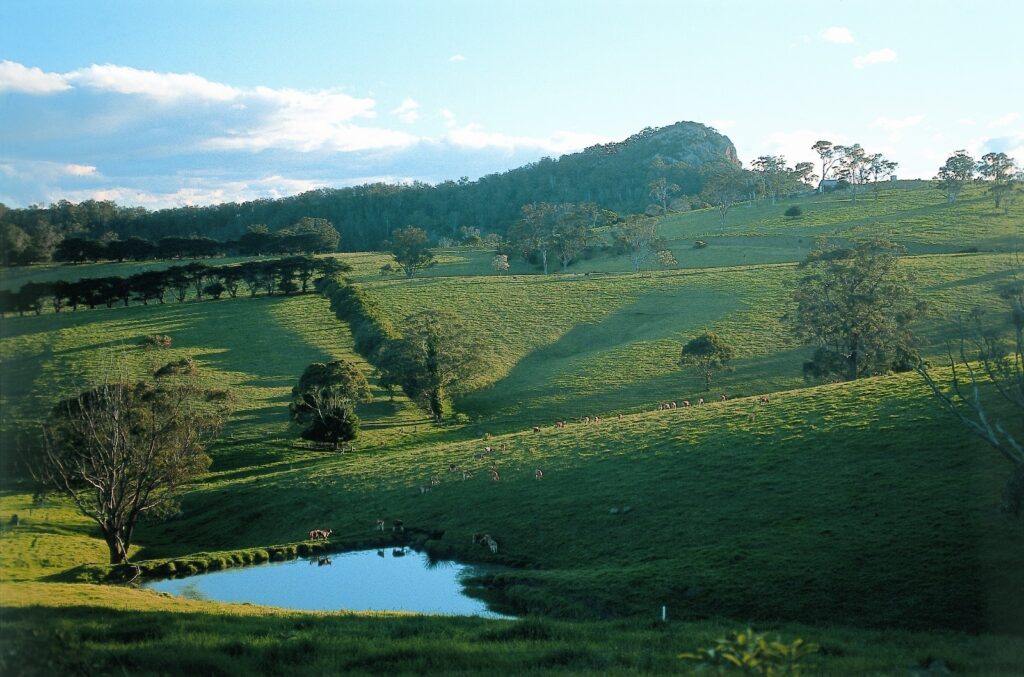 A green, grassy hillside landscape with scattered trees, a small pond in the foreground, and a hill with forested areas under a partly cloudy sky. Sunlight casts long tree shadows across the fields.