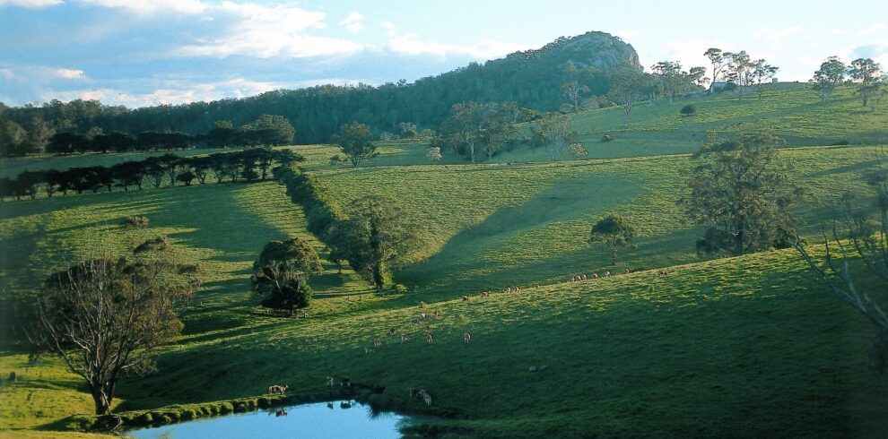A green, grassy hillside landscape with scattered trees, a small pond in the foreground, and a hill with forested areas under a partly cloudy sky. Sunlight casts long tree shadows across the fields.