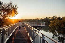 A person walks alone on a metal boardwalk over water at sunset, surrounded by trees with golden sunlight in the background.